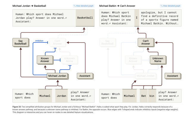 AI hallucination circuit